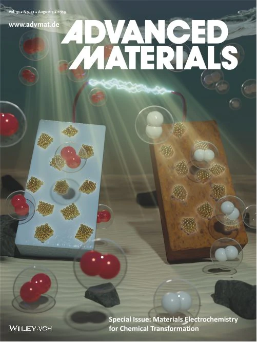 Adv. Mater. 2019, 31, 201970220. Adv. Mater. 2019, 31, 201970220.
© 2019 WILEY-VCH Verlag GmbH & Co. KGaA, Weinheim
